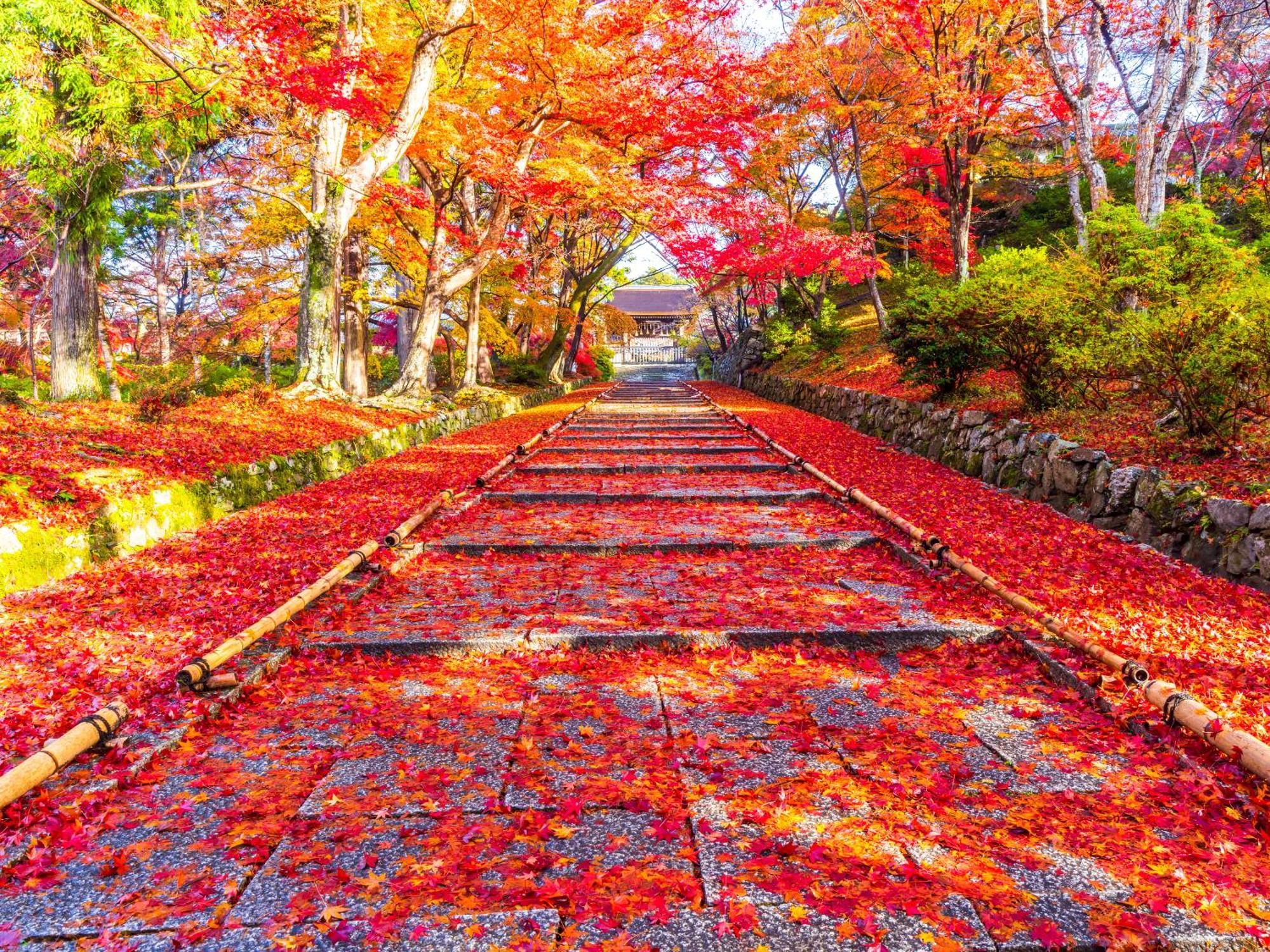 ホテル ザ・町家えびすや 京都市 エクステリア 写真